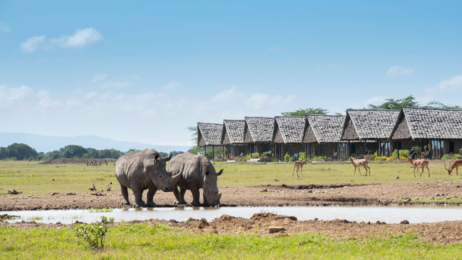 Sweetwaters Serena Camp