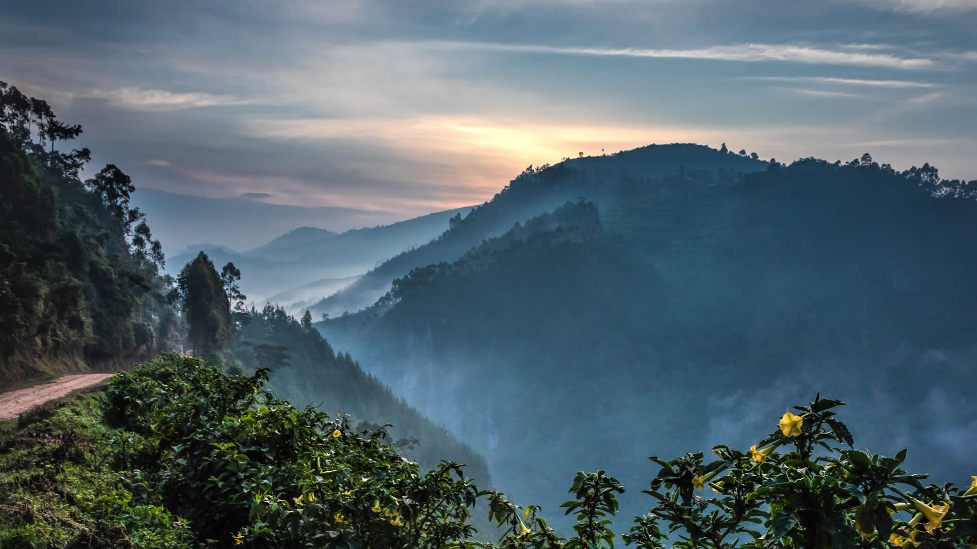 Bwindi Impenetrable National Park