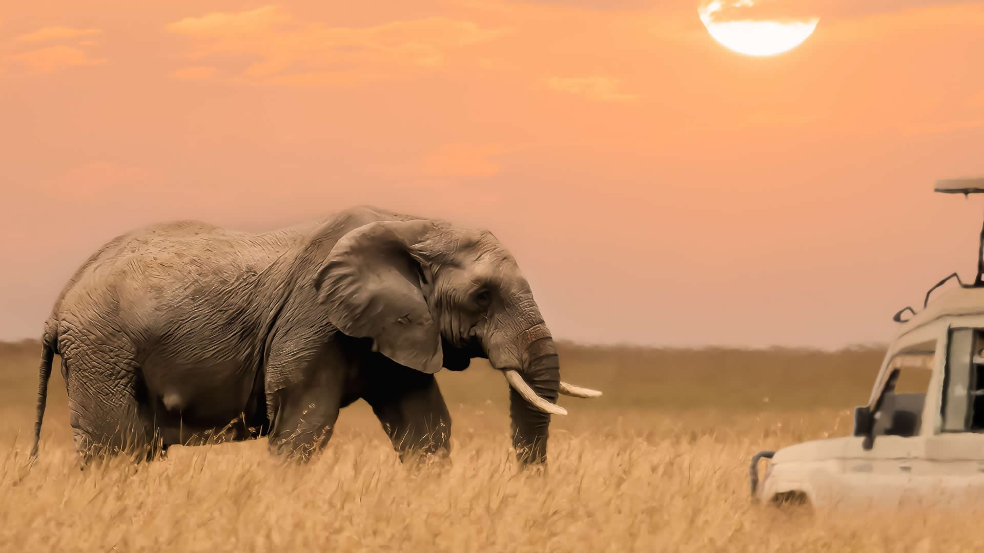 Top Destinations Tanzania
