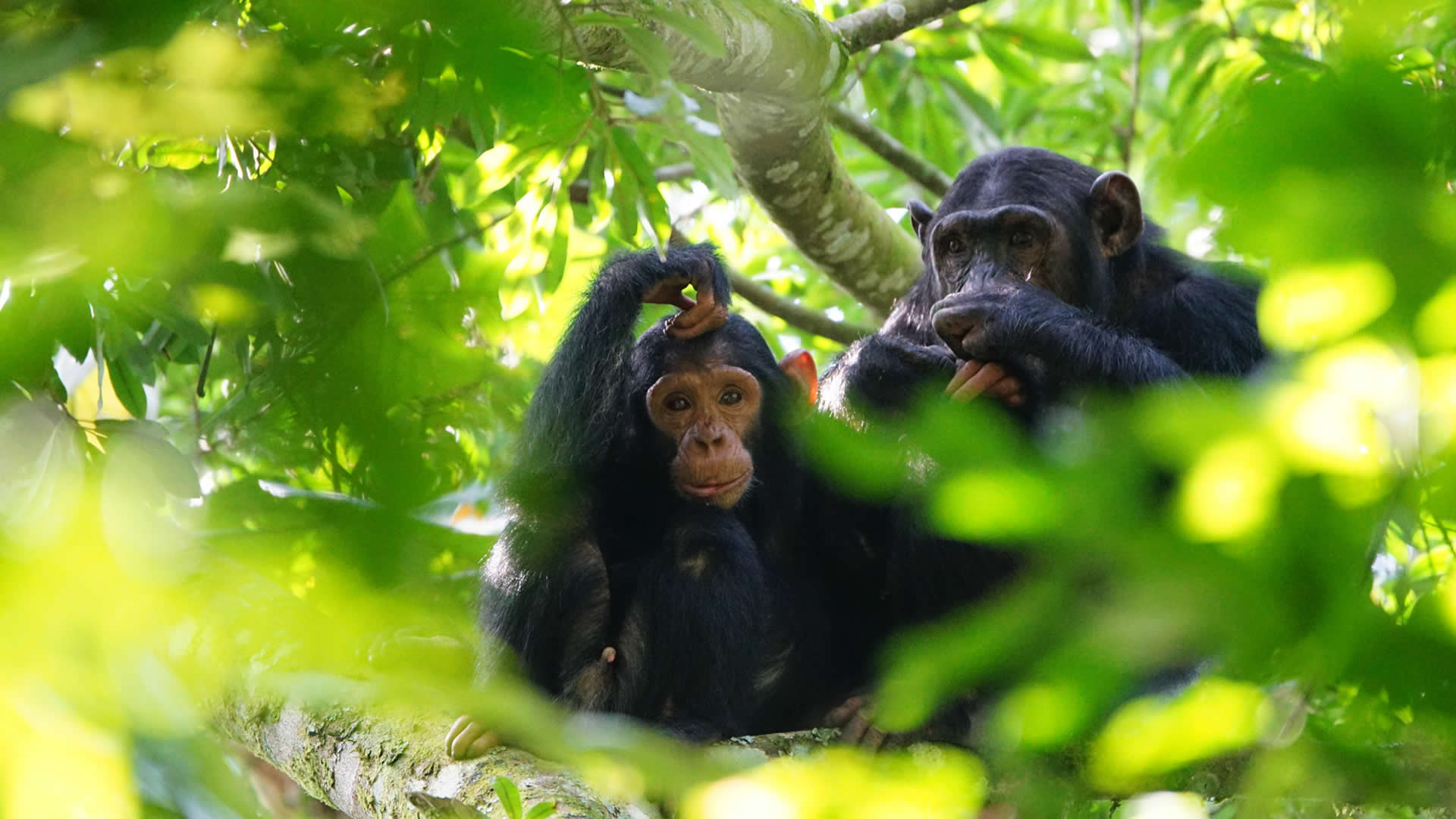 Top Destinations Uganda