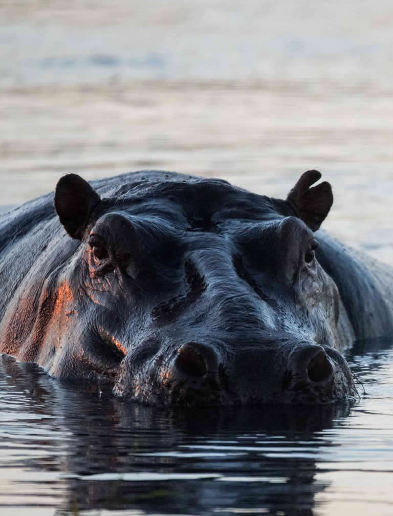 Katavi National Park