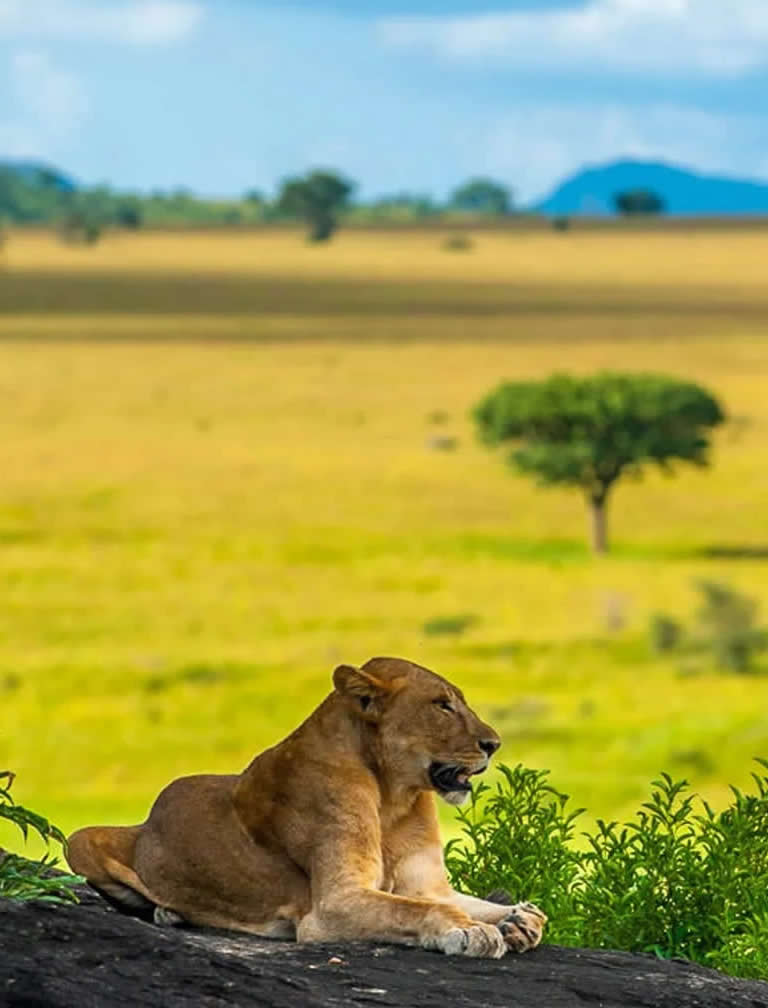 Kidepo Valley National Park