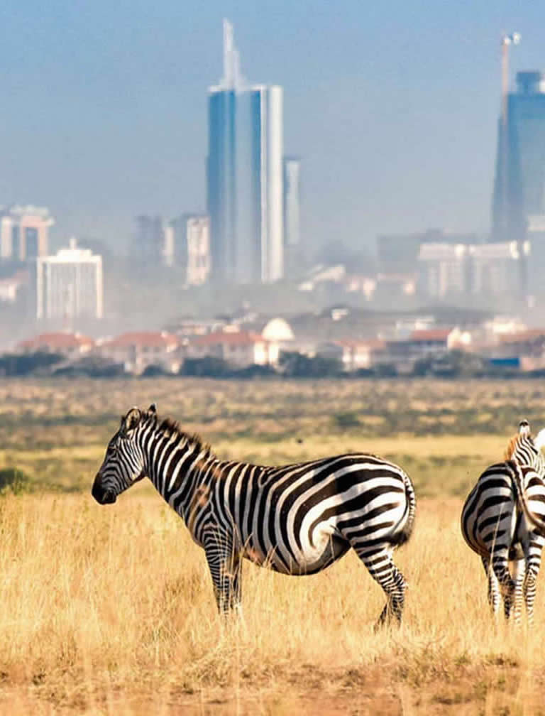 Nairobi National Park