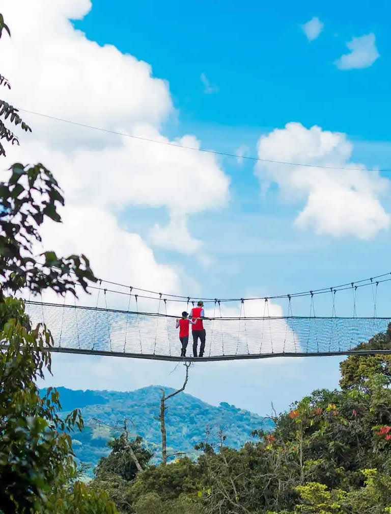 Nyungwe Forest National Park
