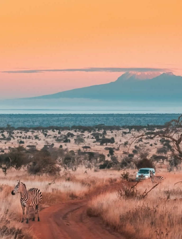 Tsavo West National Park