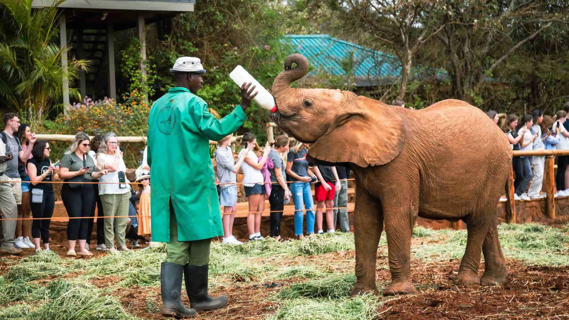 Full Day Nairobi City Tour