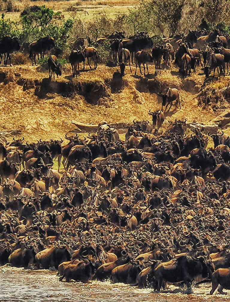  6 Days Kenya Experience 